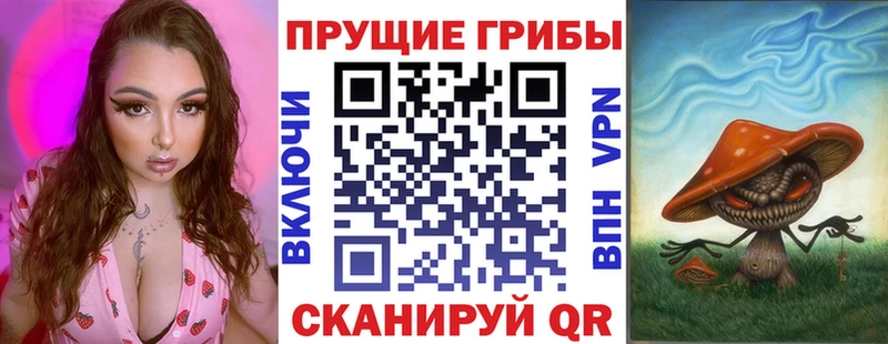 ОМГ ОМГ ссылка  Пущино  Псилоцибиновые грибы Psilocybe  продажа наркотиков 